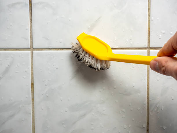 Best Residential Mold Remediation in Parma, OH