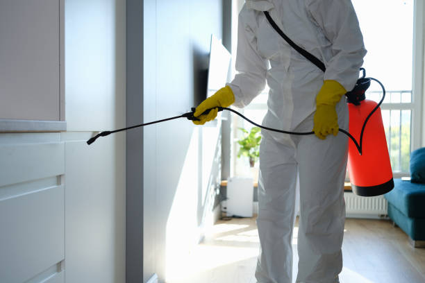 Best Residential Mold Remediation in Parma, OH