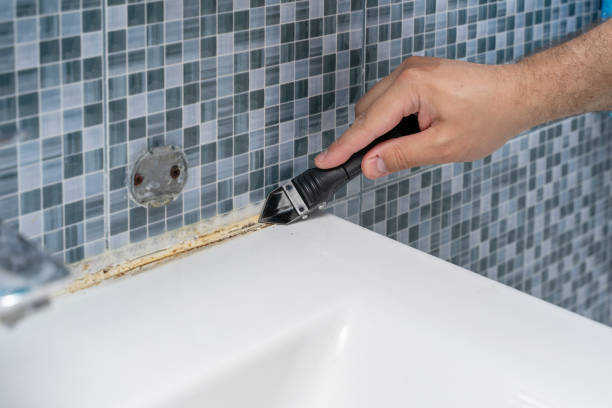 Best Localized Mold Remediation (e.g., coastal areas, humid climates) in Parma, OH